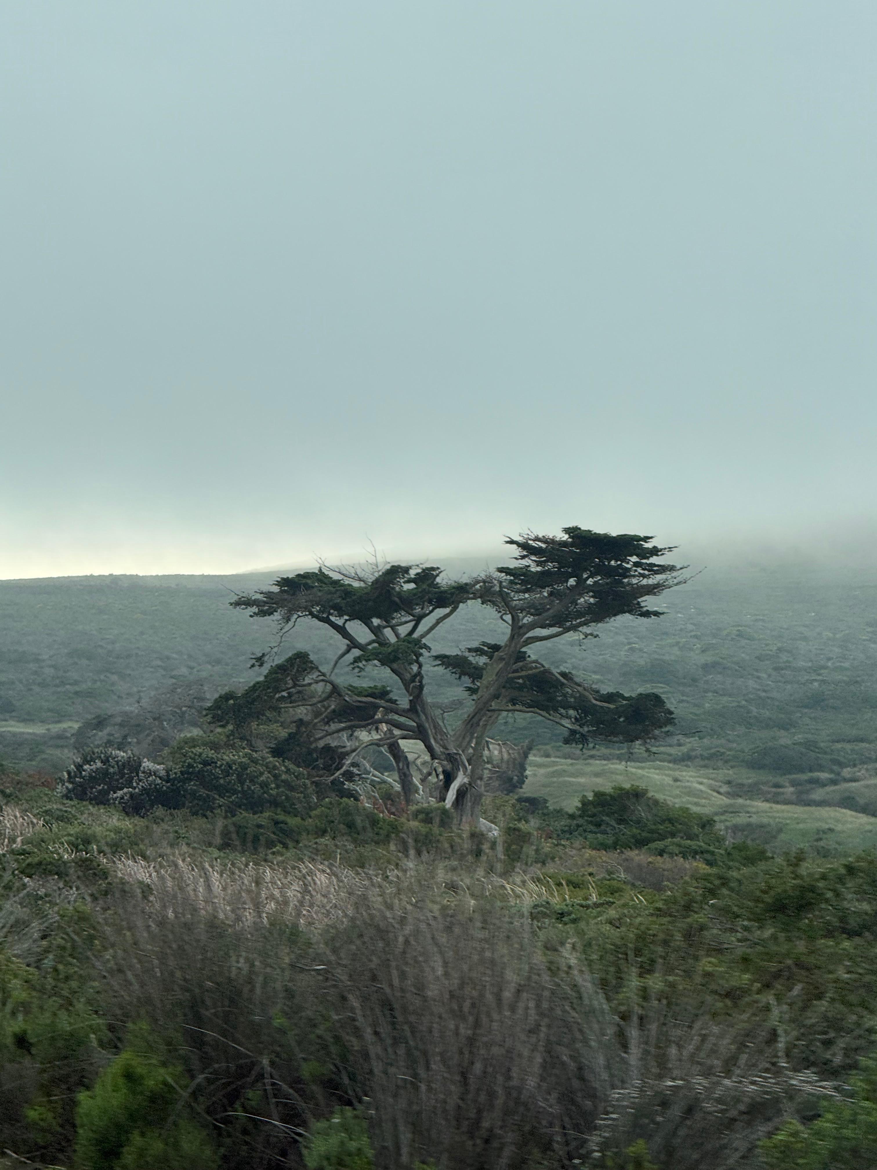 Peninsula 4